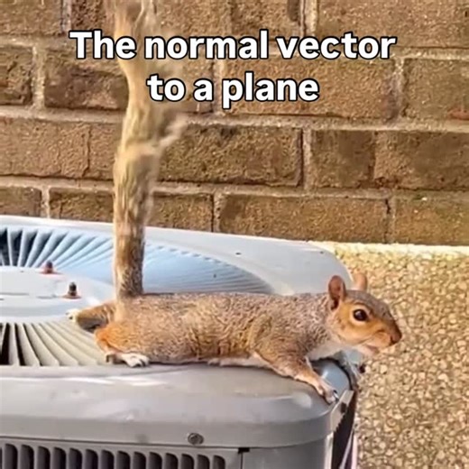 MathMatize on Instagram: "n.p=n.p_0 #math #mathmemes #stem #mathematics #mathematician #linearalgebra #physics"