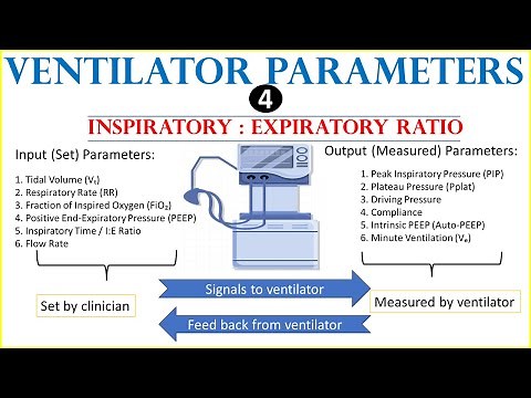 Ventilator parameters and settings (I:E ratio)