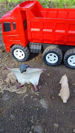 Cute Squirrel & White Lion