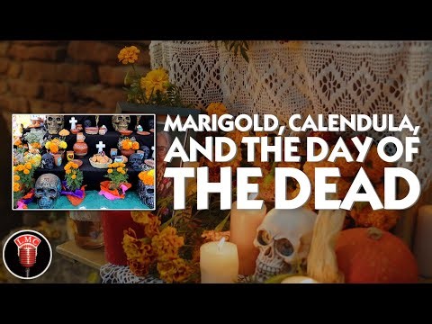 Day of the Dead Lucky Mojo Hoodoo Rootwork Hour 10/15/17 (Miss Cat, ConjureMan, Mama E.)