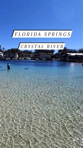 Gulf Coast Florida Springs! Crystal clear spring fed beach in Crystal River! #crystalclear #FLlife #fun #floridahomes #lifeonthewater #WaterfrontLiving #outdoors #CrystalClearWater #swimming #florida #floridaliving #citruscounty #FWC #paddleboarding #beach #kingsbay #swimming | River Karen