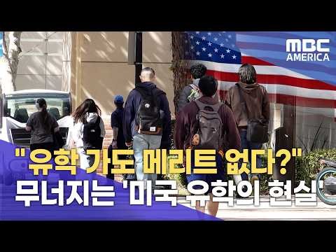 "한때 꿈의 유학지였는데"…"미국 유학 외면하는 이유"