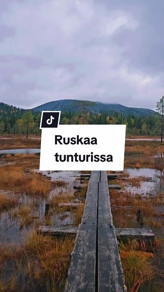 Terhi (@terhissa)’s videos with September - slowed reverb - Wallerstedt
