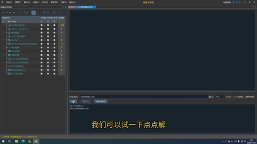 TCP网络请求测试工具的使用技巧