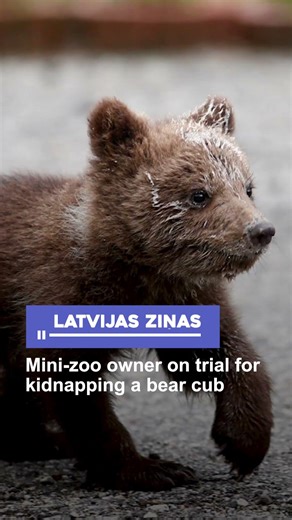 Mini-zoo owner on trial for kidnapping a bear cub