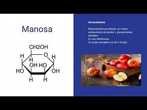 Bioquimica de la oxidación de la manosa