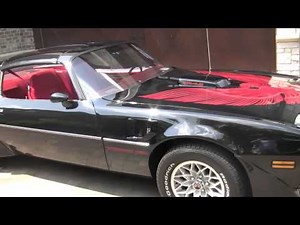 1981 Trans Am For Sale