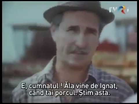 Film romanesc Vara sentimentala 1985