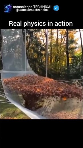 Real Physics in Action: Mind-Blowing Everyday Experiments!