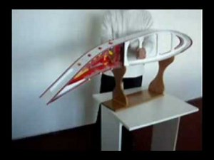 Adaptive Wing version (Morphing Wing)