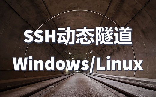 SSH动态隧道 Windows和Linux应用