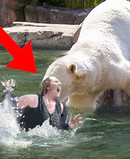 20 Situations Of Animals Aggressively Attacking Other Animals Caught On Camera 🐉vs🐏 | Animals Lover