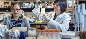 Graduate Assistantships: The Key to Free Grad School