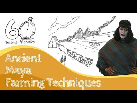 Ancient Maya Farming Techniques