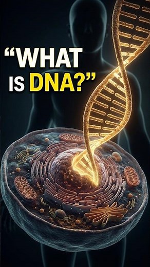 What Is DNA? 🧬 The Instruction Book Inside Your Cells