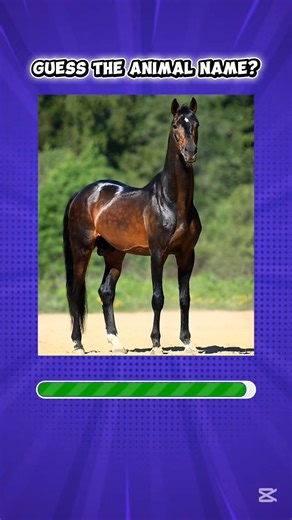 Guess The Animal Name 🐄🐫 | Quiz in Hindi | #quiz #animalquiz #animalchallenge #animals #shorts