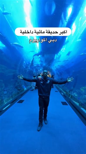 ‎وناسه ✨‎ on Instagram‎: "in dubai | في دبي دبي اكواريوم | DUBAI AQUARIUM كنتو تعرفون ان اكواريوم دبي فيه اكثر من تجربة تسوونها داخل المكان! اهمها القارب الشفاف و مقابلة البطاريق 🐧😍 بالاضافة الى الحديقة العامة والممر المائي كل هذا في اكواريوم دبي مول والكثير غيره! المكان : دبي مول @dubaiaquarium @thedubaimall Did you know that Dubai Aquarium offers more than one experience inside the venue? The most exciting ones include the glass-bottom boat ride and the penguin encounter 🐧😍 Plus, there’s t