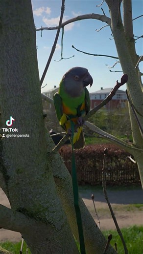 First time outside for a walk