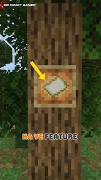 Best Use Of This Empty Map|#minecraft #minecraft #mdcraftgamer