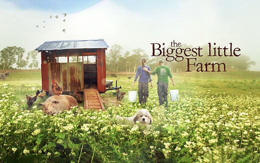 【纪录片】最大的小小农场.1080P高码率.中英字幕（2018）The Biggest Little Farm