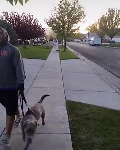 8.7K views · 113 reactions | If you're going out into public, it's important to practice social distancing and to wear a mask.... Or in this case, going the extra mile! (Video courtesy Brittany Umi) | FOX 13 News | Facebook