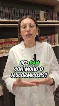 What is moldy bread infection or mucormycosis?