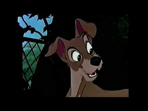 Lady and the Tramp - Masterpiece Collection Trailer (1998)