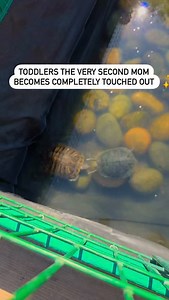 🌟F R E E Child Development Class 🌟 Wanna know why your toddler turns into a stage-five clinger the moment you’re all “touched out”? Or why your preschooler’s emotions flip faster than a Texas weather forecast? Or why your 8-year-old suddenly argues like they’re auditioning for “Law & Order: Family Edition”? Or why your tween’s favorite word is “ugh”? Or why your teen could win a gold medal for sleeping till noon? Well I’ll be layin’ it all out in a 🌟F R E E🌟 Class on November 3rd called Deco