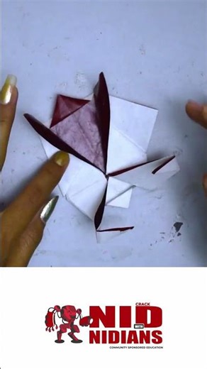 DIY Paper Turtle 🐢 | | Cute Animal Craft | DAD Institute of Design #diy#craft #fyp #explorepage