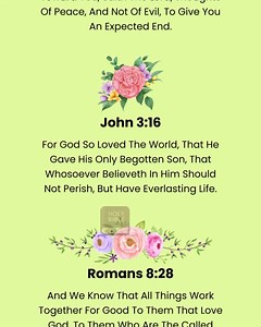 91 reactions · 33 shares | Daily Bible Verses on Reels | Facebook