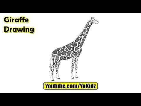 How to draw a giraffe easy