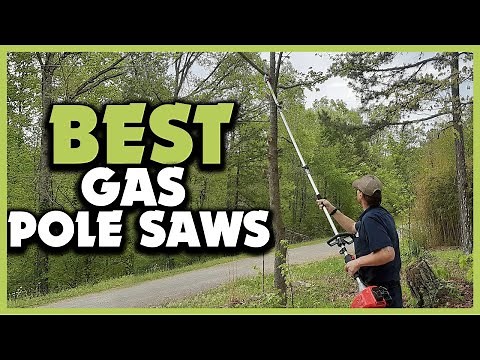 ✅Top 5 Best Gas Pole Saws of 2025