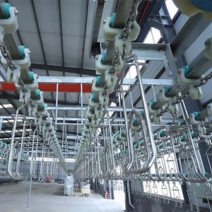 [Hot Item] Muslim Halal Poultry Slaughter Processing Line Chicken Abattoir Machine