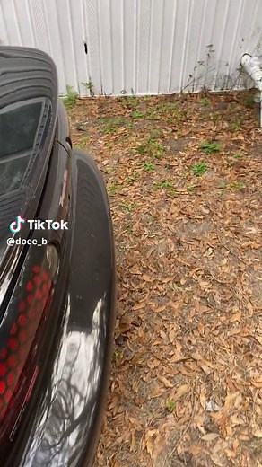 Doe_B on TikTok