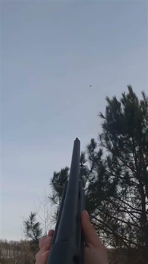 Can Cheap Decoys Actually Work???