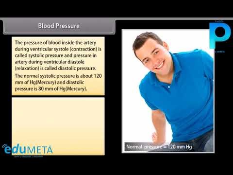 Class 10th SCIENCE BIOLOGY Life Processes Transportation IV