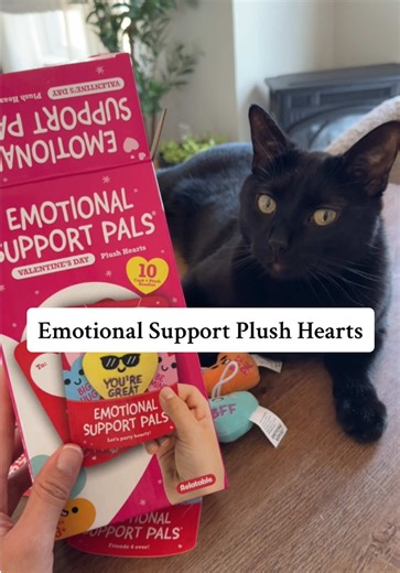 I can’t believe it’s already almost Valentines Day! #happyvalentinesday #emotionalsupportplushies #valentinesdayideas #bemine #valentinesday