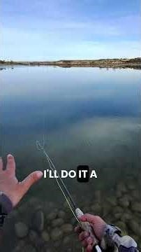 Pond fishing tips! #flyfish #flyfishingtrout #flyfishingjunkie #sanjuanriver #fishingjack #flyfishnm