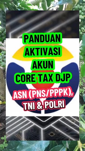 Basaria Hotmauli MaNalu | Panduan aktivasi akun core tax #asn | Instagram