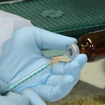 Video: A Tissue Displacement-based Contusive Spinal Cord Injury Model in Mice