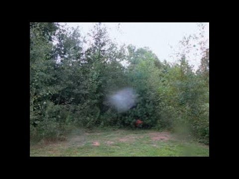 ✦ free glaive type beat "deathbed"