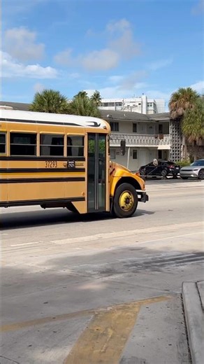 2007 Blue Bird Vision #37293