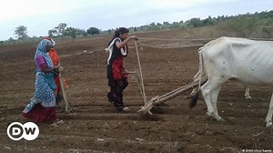 Organic food catching on in India