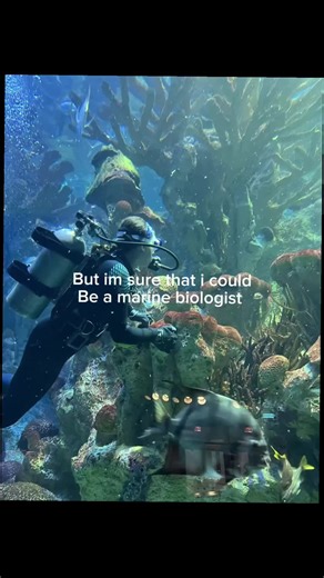 Exploring Marine Biology Careers: A Journey to Your Dream Job