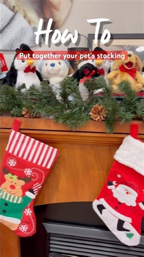 Let’s build the perfect holiday stocking for your pet. 🎁🐾#PetSmartHowTo #AnythingForPets