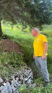 E tu, conosci la formica rufa? | Sergio Berlato