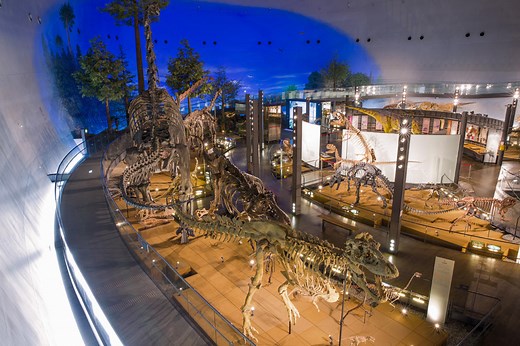 福井県立恐竜博物館の楽しみ方完全ガイド！恐竜を見て、触れて、かつやま恐竜の森を楽しもう！ - まっぷるウェブ