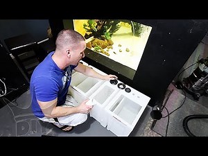 The new aquarium FILTRATION, PLUMBING and SETUP