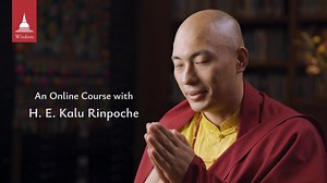 Discover for yourself the illusory nature of body and mind. ✨ The Wisdom Academy is pleased to announce that early bird enrollment is open for The Illusory Body and Mind, the new course with H. E. the 2nd Kalu Rinpoche. Starts April 26. | Wisdom Publications