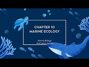 Chapter 10 - Marine Ecology
